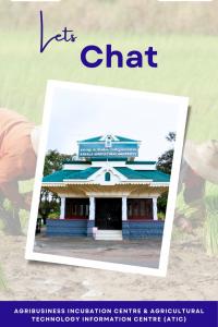 TMA Let's Chat Session